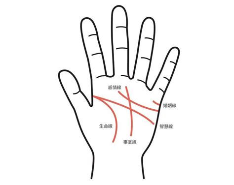 掌中菱形紋|手相怎麼看？5大「感情線、事業線」手紋公式破解，「男左女右。